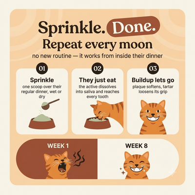 More moons - Teeth cleaning powder