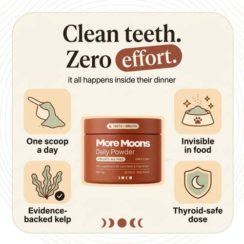 More moons - Teeth cleaning powder