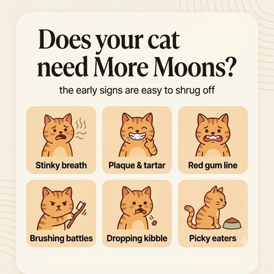 More moons - Teeth cleaning powder