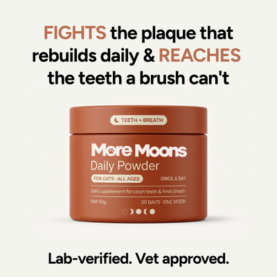 More moons - Teeth cleaning powder